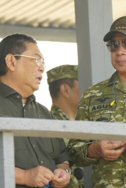 Panglima TNI dan Menhan RI Yakinkan Kesiapan Interoperabilitas TNI
