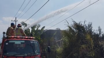 Asap Tebal Dekat Kampus Thursina, Kebakaran Lahan 10 Hektare di Dau