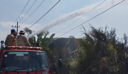 Asap Tebal Dekat Kampus Thursina, Kebakaran Lahan 10 Hektare di Dau - Teropong Rakyat
