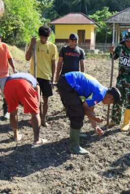 TMMD Ke-129 Tak Hanya Membangun, Tapi Juga Menanam Harapan Melalui Ketahanan Pangan