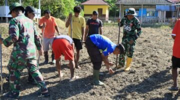 TMMD Ke-129 Tak Hanya Membangun, Tapi Juga Menanam Harapan Melalui Ketahanan Pangan