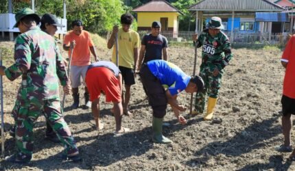 TMMD Ke-129 Tak Hanya Membangun, Tapi Juga Menanam Harapan Melalui Ketahanan Pangan - Teropong Rakyat