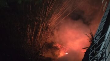 Diduga Dipicu Pembakaran Sampah, Kebakaran Lahan Bambu di Mangliawan Berhasil Dipadamkan Damkar Kabupaten Malang