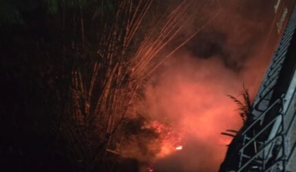 Diduga Dipicu Pembakaran Sampah, Kebakaran Lahan Bambu di Mangliawan Berhasil Dipadamkan Damkar Kabupaten Malang - Teropong Rakyat