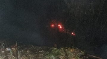 Lahan Bambu di Dau Terbakar, Api Membesar Diterpa Angin dan Nyaris Merembet ke Permukiman