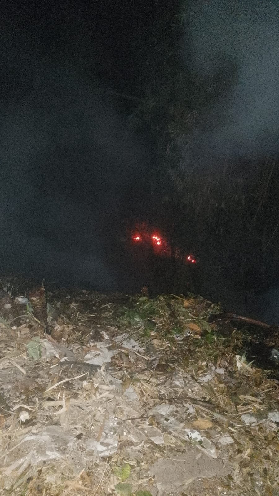 Lahan Bambu di Dau Terbakar, Api Membesar Diterpa Angin dan Nyaris Merembet ke Permukiman