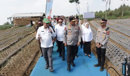 Dukung Swasembada Pangan, Polisi Tanam Bawang Putih 1,5 Hektare bersama Forkopimda di Malang - Teropong Rakyat