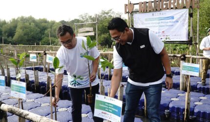 IPC TPK Dukung Rehabilitasi Mangrove Nasional melalui Kolaborasi TJSL “The North Green Movement” - Teropong Rakyat
