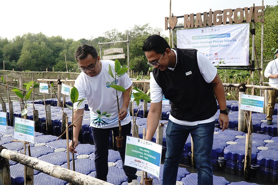IPC TPK Dukung Rehabilitasi Mangrove Nasional melalui Kolaborasi TJSL “The North Green Movement”