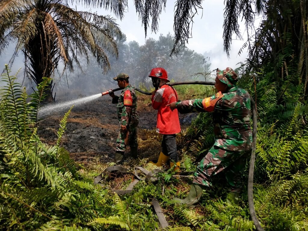 Portal Berita Indonesia dan Dunia Terkini Hari Ini, Update Harian Terbaru, Terlengkap, Tajam, Aktual dan Berimbang. TNI Siagakan 66.510 Personel Tangani Karhutla di Seluruh Indonesia - Teropong Rakyat