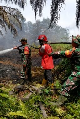 TNI Siagakan 66.510 Personel Tangani Karhutla di Seluruh Indonesia