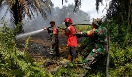 TNI Siagakan 66.510 Personel Tangani Karhutla di Seluruh Indonesia - Teropong Rakyat