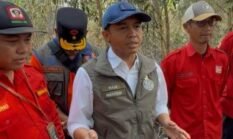 Tinjau Karhutla Kalsel, Menhut Raja Antoni : Api Sudah Tak Terlihat, tapi Gambut Masih Berasap