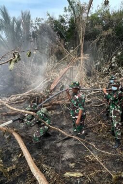 TNI Siagakan 73.766 Personel Tangani Karhutla di Berbagai Wilayah