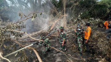 TNI Siagakan 73.766 Personel Tangani Karhutla di Berbagai Wilayah