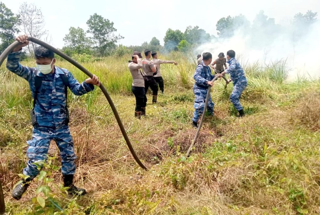 Komandan Lanud Sjamsudin Noor Pimpin Langsung Pemadaman Kebakaran Hutan dan Lahan di Kalimantan Selatan - Teropong Rakyat