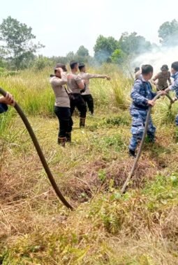 Komandan Lanud Sjamsudin Noor Pimpin Langsung Pemadaman Kebakaran Hutan dan Lahan di Kalimantan Selatan