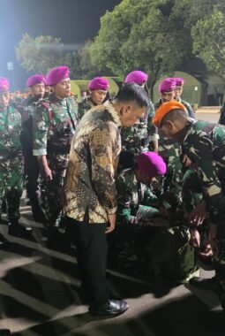 TNI Kerahkan Satgas Khusus Percepat Penanganan Karhutla di Riau