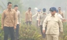 Instruksi Presiden, Kemenhut Bekukan 6 Perusahaan Terkait Karhutla Kalimantan