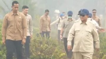 Instruksi Presiden, Kemenhut Bekukan 6 Perusahaan Terkait Karhutla Kalimantan