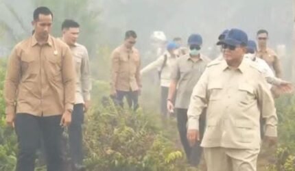 Instruksi Presiden, Kemenhut Bekukan 6 Perusahaan Terkait Karhutla Kalimantan - Teropong Rakyat