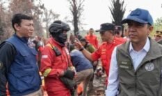 Cek Karhutla Gambut Jambi, Menhut Raja Antoni : Kelalaian Kecil Bisa Berdampak Luas