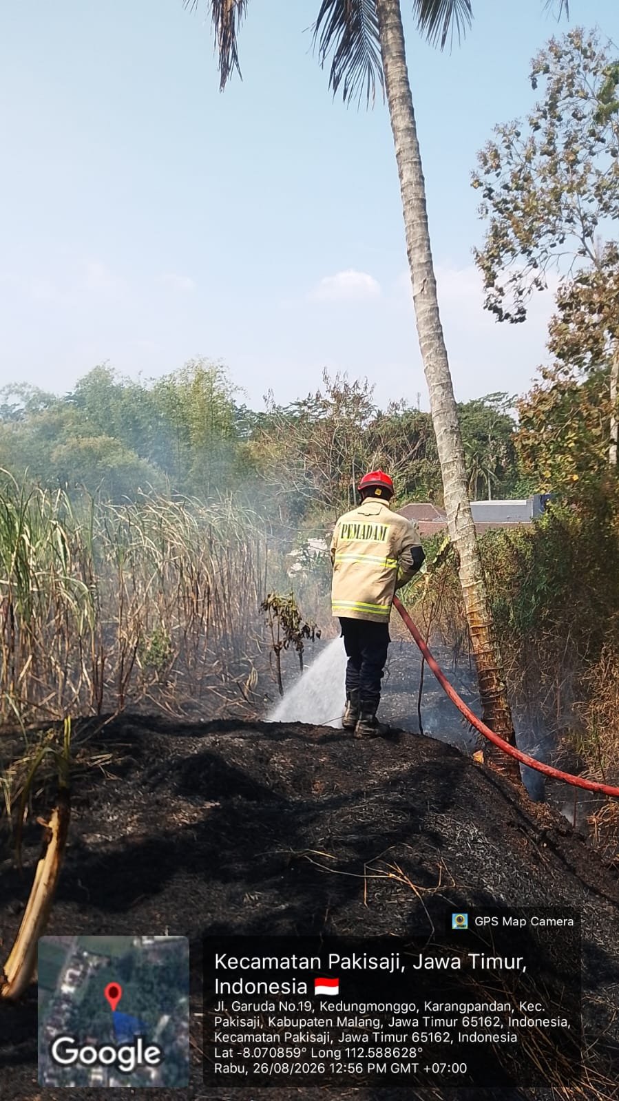 Lahan Tebu Seluas 1 Hektare Terbakar di Pakisaji, Diduga Akibat Sisa Pembakaran Sampah