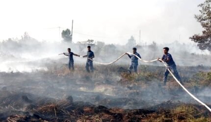 Pemadaman dan Pembasahan Lahan Gambut Diperkuat, Satgas Darat Lanud Sjamsudin Noor Berjibaku di Tengah Asap Tekan Dampak Karhutla di Kalsel - Teropong Rakyat