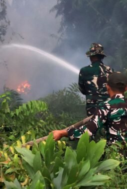 Api Belum Usai Perjuangan Berlanjut, Satgas Irigasi Lanud Sjamsudin Noor Terus Perkuat Upaya Padamkan Karhutla Kalsel Optimalkan Air Hingga Dinginkan Lahan Gambut