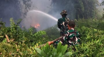 Api Belum Usai Perjuangan Berlanjut, Satgas Irigasi Lanud Sjamsudin Noor Terus Perkuat Upaya Padamkan Karhutla Kalsel Optimalkan Air Hingga Dinginkan Lahan Gambut