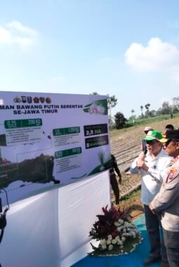 Polda Jatim dan Kelompok Tani Tanam Bawang Putih Serentak, Perkuat Swasembada Pangan