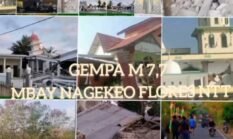 Gempa M7,7 Guncang Mbay Nagekeo NTT Warga Evakuasi Ke Tempat Perbukitan Antisipasi Tsunami