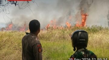 Kebakaran Lahan Kosong di Cilincing, Polisi Pastikan Tidak Ada Korban Jiwa