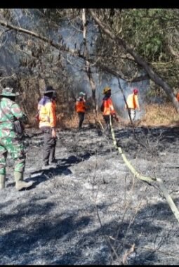 TNI Kerahkan 14.167 Personel Tangani Karhutla di Sejumlah Wilayah