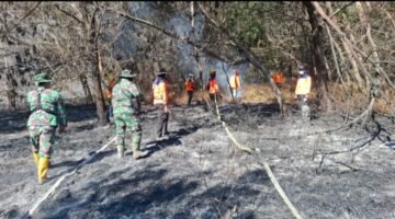 TNI Kerahkan 14.167 Personel Tangani Karhutla di Sejumlah Wilayah