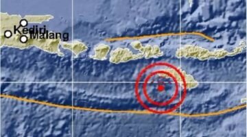 Gempa Dahsyat NTT 47 Tewas 5.000 Mengungsi Ratusan Bangunan Rusak