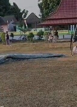 Cegah Karhutla Sejak Dini, TNI Intensifkan Patroli Udara di Taman Nasional Way Kambas