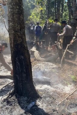 Kebakaran Hutan Melanda Kawasan Gunung Buthak, Jalur Pendakian Ditutup Sementara