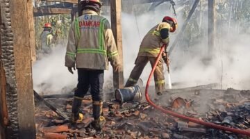 Kandang Ayam di Ngajum Terbakar, Kerugian Ditaksir Rp1 Miliar