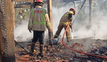 Kandang Ayam di Ngajum Terbakar, Kerugian Ditaksir Rp1 Miliar - Teropong Rakyat