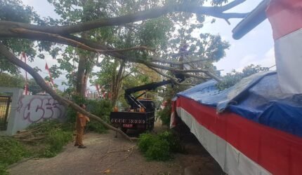 Longsor Dominasi Bencana di Kota Batu, 115 Kejadian Catatkan 27 Warga Mengungsi - Teropong Rakyat
