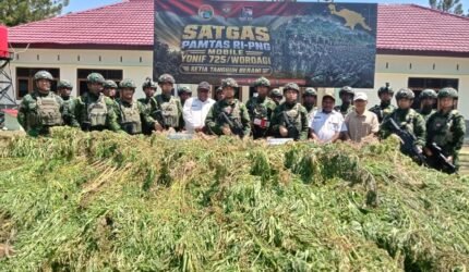 TNI Bersihkan Ladang Ganja di Yahukimo, 21.400 Batang Diamankan - Teropong Rakyat