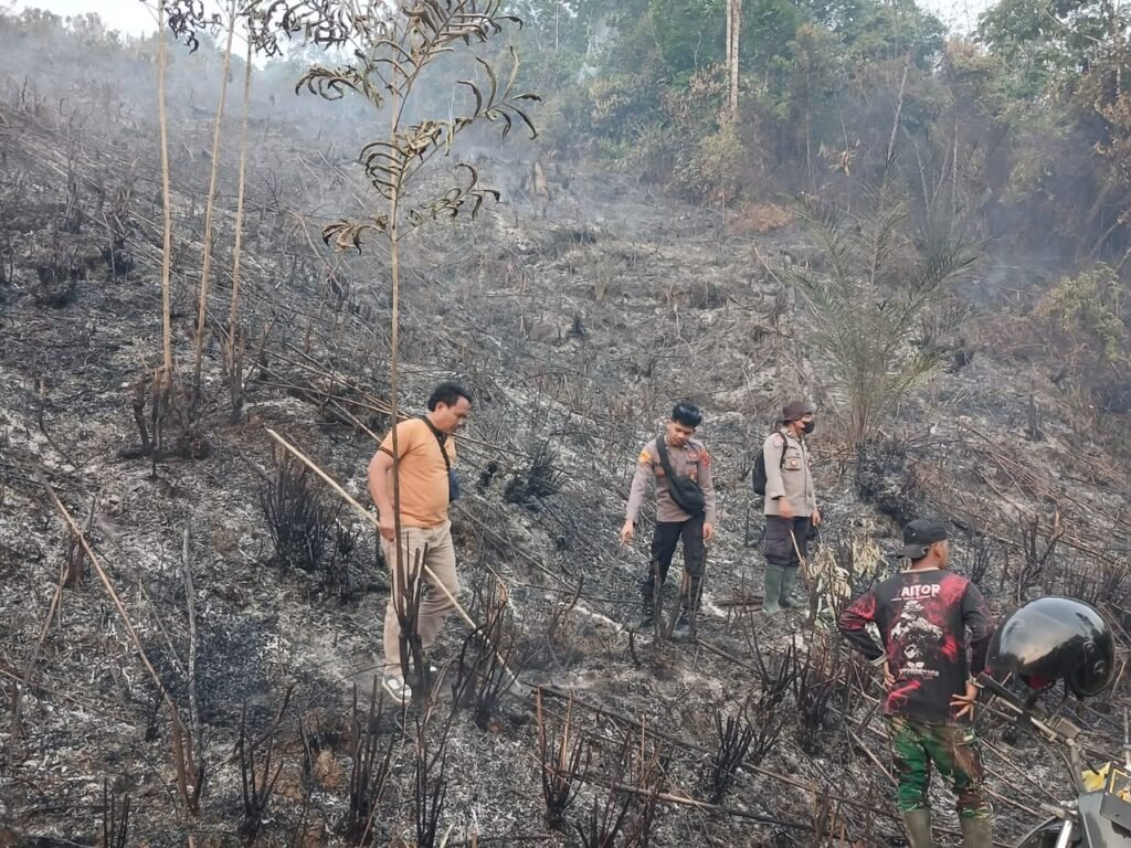 Polda Jambi Tangani Karhutla Seluas 5 Hektare di Areal PT Jebus Maju Merangin - Teropong Rakyat