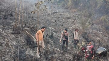 Polda Jambi Tangani Karhutla Seluas 5 Hektare di Areal PT Jebus Maju Merangin