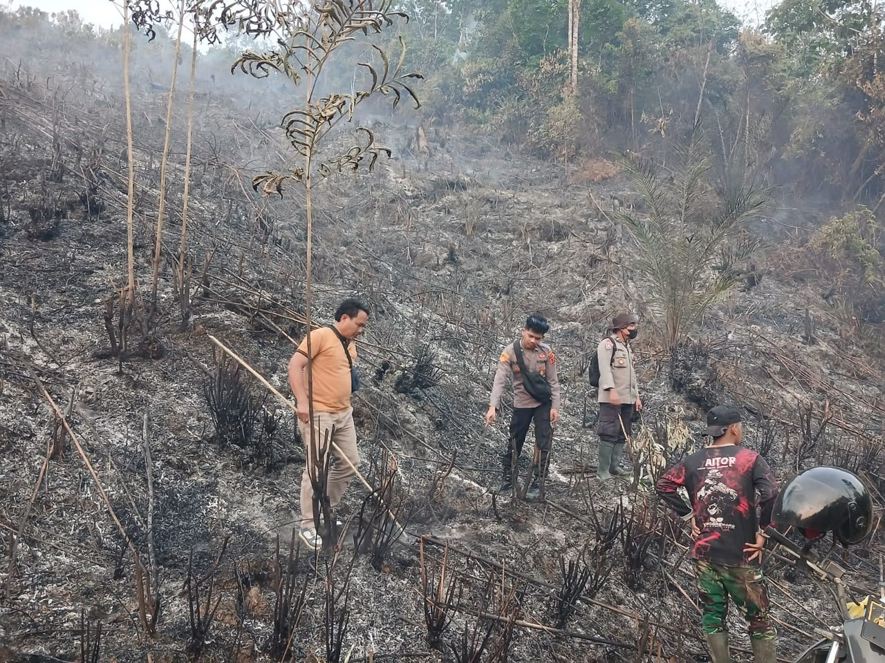 Polda Jambi Tangani Karhutla Seluas 5 Hektare di Areal PT Jebus Maju Merangin