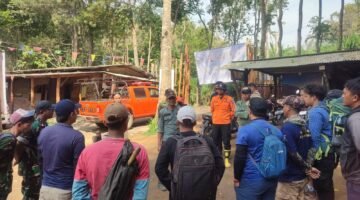 Kebakaran Gunung Kawi Meluas, 1.459 Hektare Area Terbakar