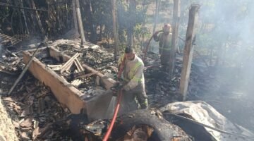 Rumah dan Kandang Terbakar di Kalipare, Seekor Sapi Mati Terpanggang