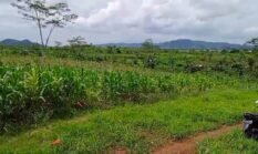 Ahli Waris Natadipura Angkat Bicara, Soroti Penguasaan Lahan yang Diklaim Milik Keluarga di Warungkiara