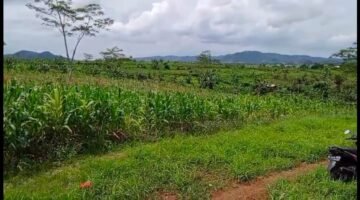 Ahli Waris Natadipura Angkat Bicara, Soroti Penguasaan Lahan yang Diklaim Milik Keluarga di Warungkiara