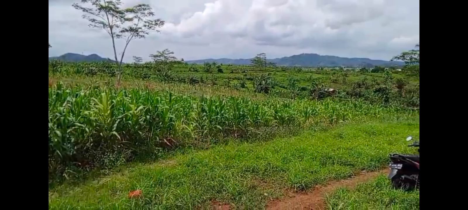 Ahli Waris Natadipura Angkat Bicara, Soroti Penguasaan Lahan yang Diklaim Milik Keluarga di Warungkiara